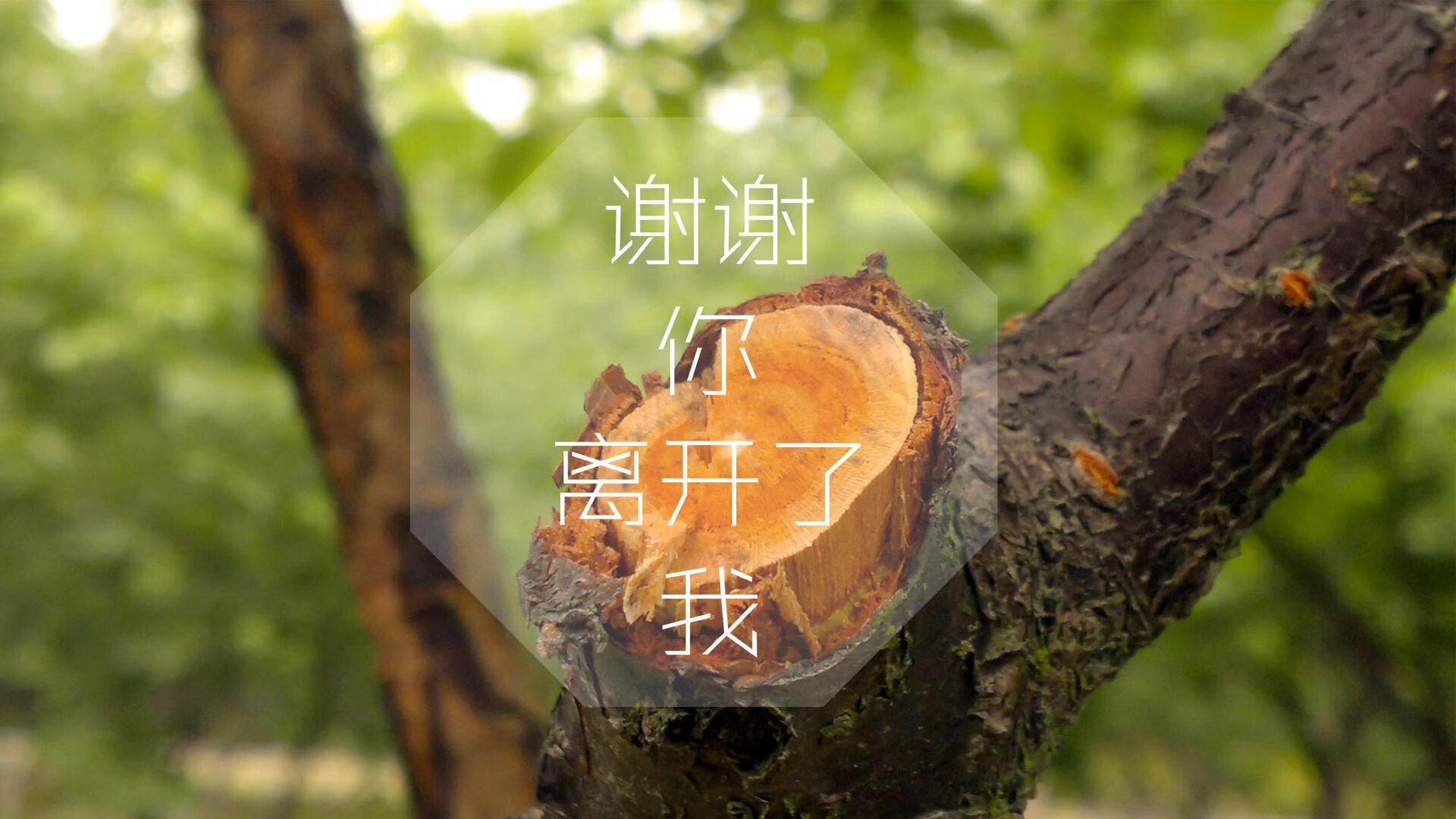 爱游戏体育（AYX）官方APP下载-曼联边后卫助攻积极提升攻势层次，曼联边路球员