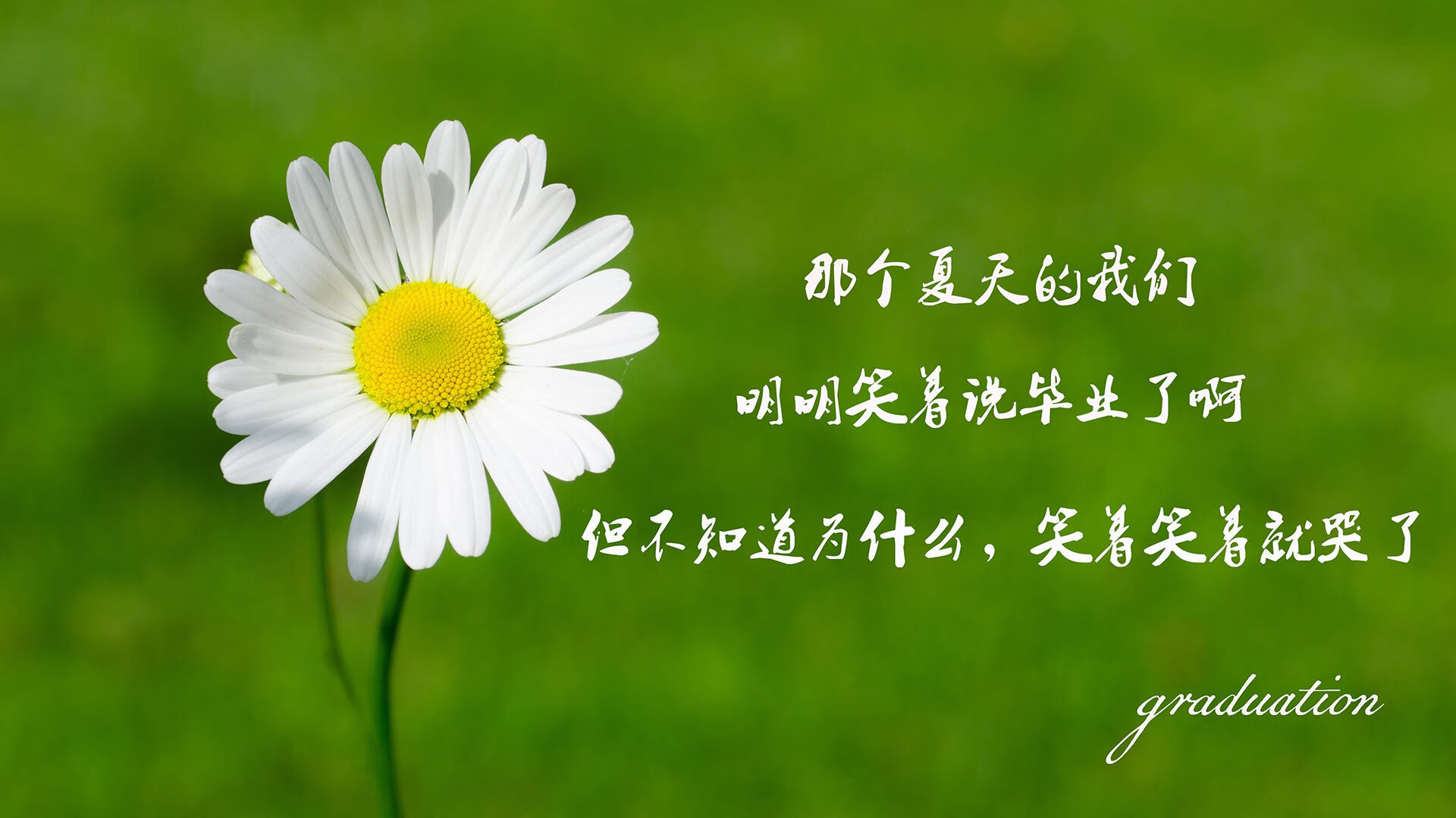爱游戏官网-蒙彼利埃以体能优势拖垮对手节奏，蒙彼利埃球员名单