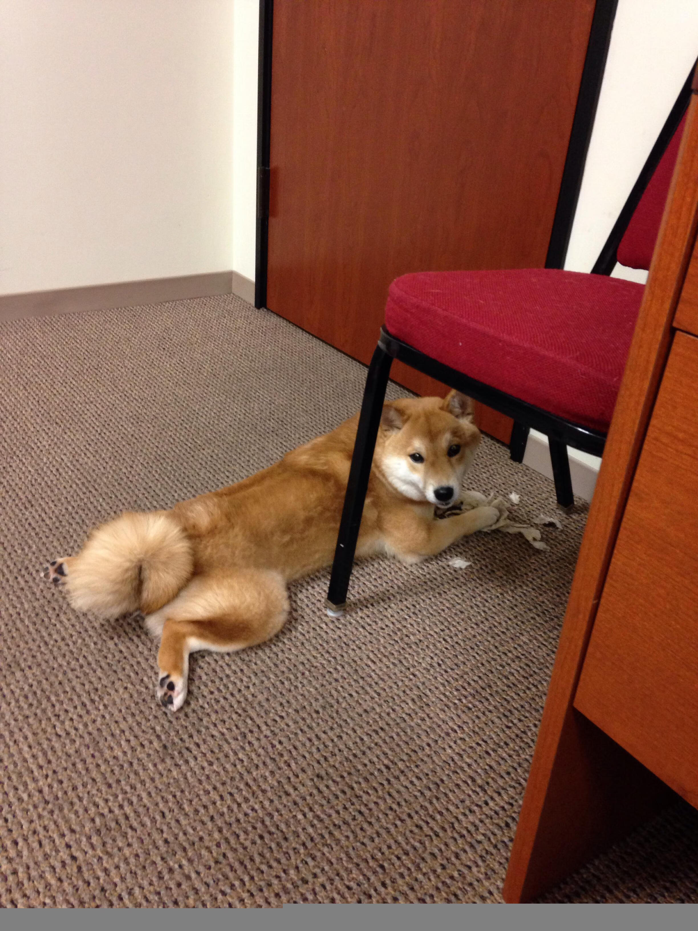 AYX体育-乌兹别克斯坦男篮在亚洲预赛中奋勇拼搏，迈向奥运