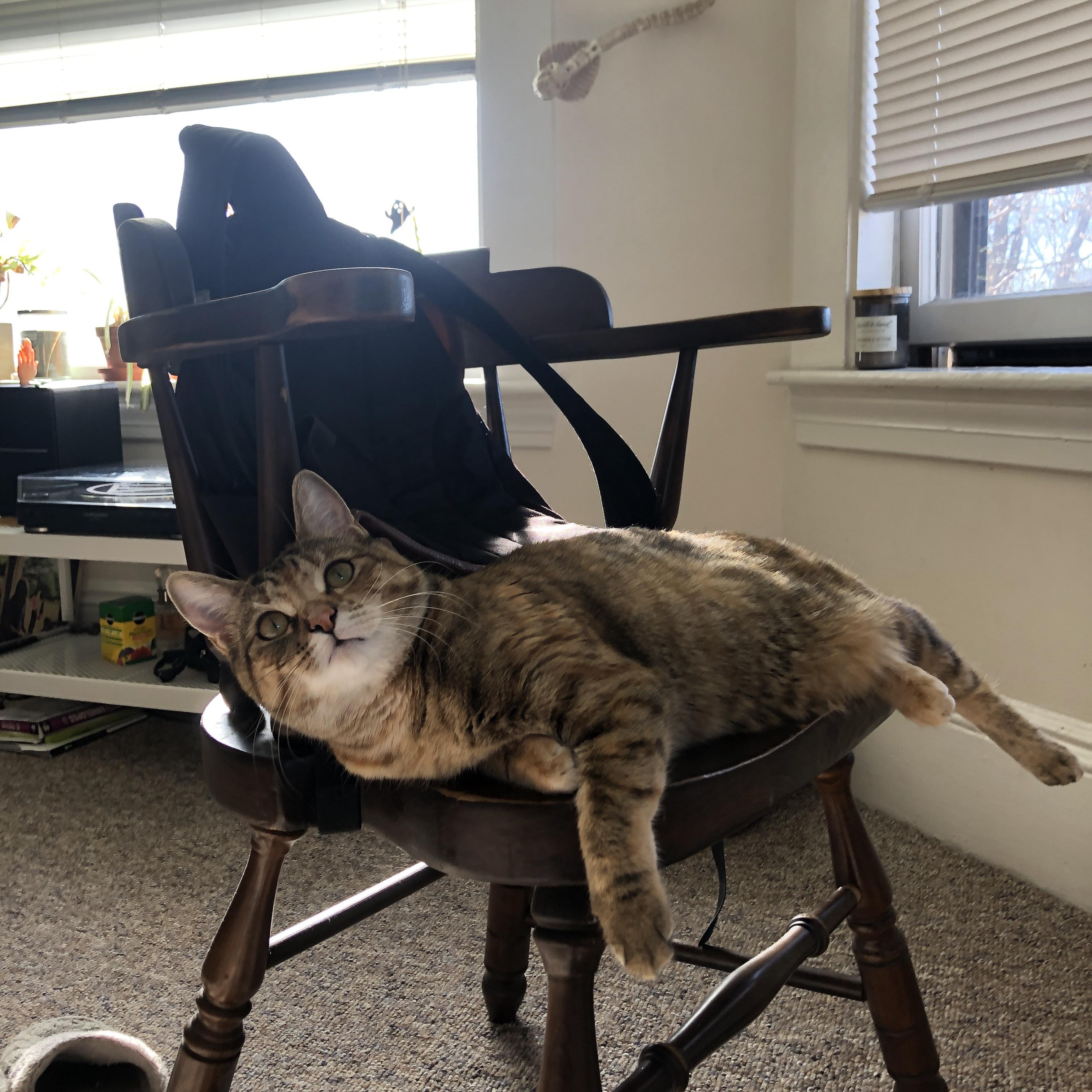 乌干达男篮在非洲预赛中拼搏努力，开启新纪元，乌干达篮球水平