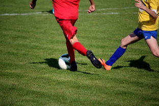 爱游戏娱乐-国家女篮训练日程公开每日训练内容紧张高效，国家队女篮在哪里训练