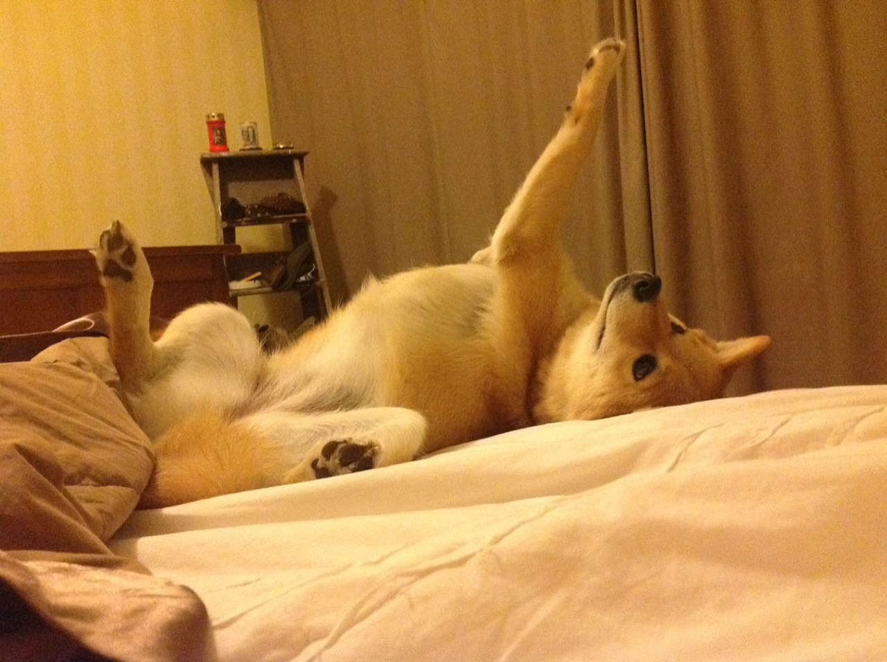 篮球三分球大赛地方预选正式开打,篮球三分球比赛