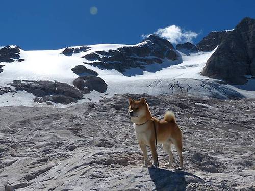 训练课开放日引发市民热潮营造良好体育氛围,开放日体育课感想